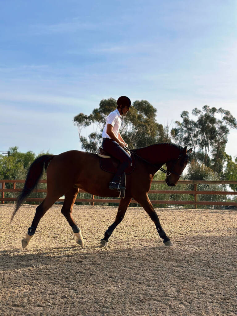 Zad Ranch in Malibu